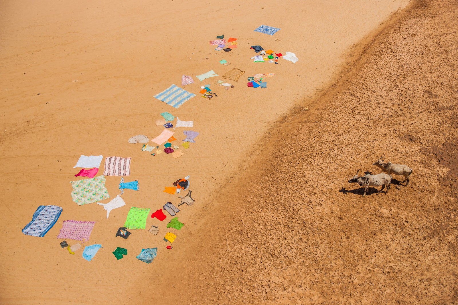 Cristina Mittermeier 04